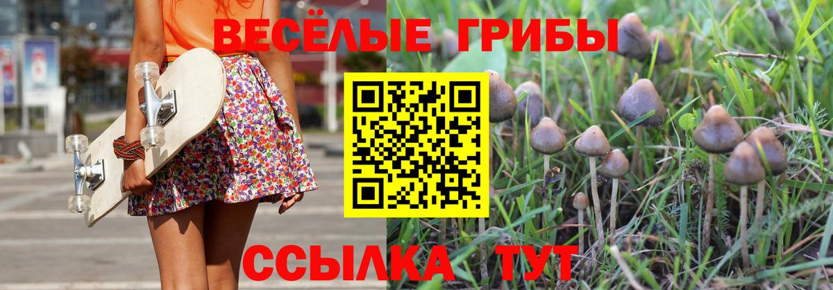 Галлюциногенные грибы ЛСД  Вход с VPN  Губкинский  Псилоцибиновые грибы Psilocybine cubensis 